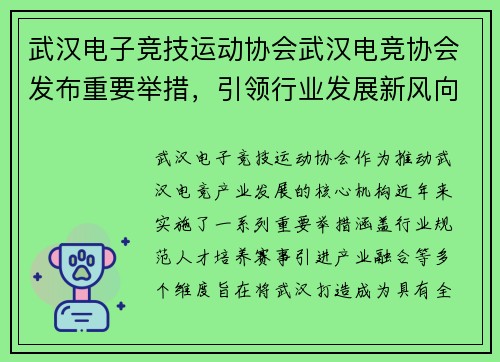 武汉电子竞技运动协会武汉电竞协会发布重要举措，引领行业发展新风向
